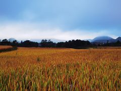 -贵州云顶草原民族风情园
