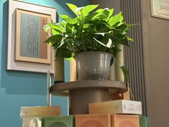 -锦艾·推拿艾灸&疗愈SPA(凯德1818店)
