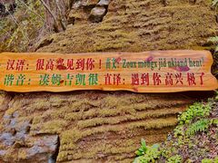 -苗人谷