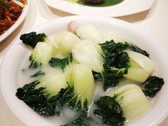 上汤白菜仔-東海海鲜酒家(中信广场店)