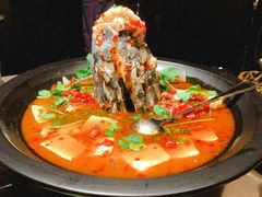 黄晓猫剁椒鱼头-黄晓猫剁椒大鱼头(海岸城店)