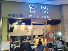 -赏饮·WILL TEA