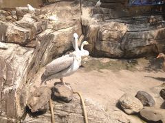 -燕塞湖鸟语林景区