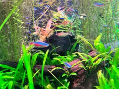 -上海海洋水族馆