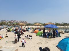 -九龙湖公园