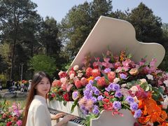 -铁山坪森林公园