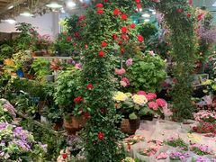 -双季花艺园艺市场(浦东店)