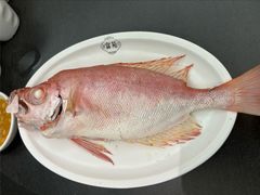 -吴记富苑(朝阳店)