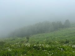 -灵山