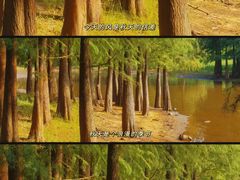 -松山湖风景区松湖烟雨