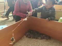 -秀丽东方