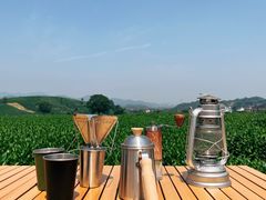 -龙坞茶村