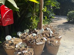 -大象粑粑造纸公园