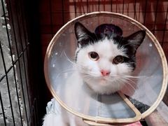 -么么咖啡(燕郊店)