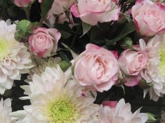 -循礼门鲜花花市(武汉循礼门店)