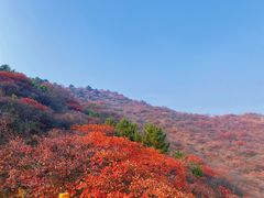 -水峪民俗村