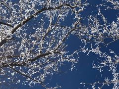 -中旅松花湖滑雪场