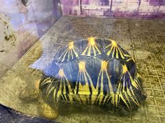 -上海大自然野生昆虫馆