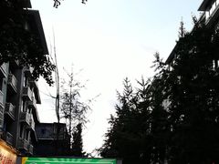 -奎星楼街