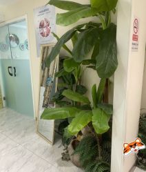-健身堂科技美肌SPA