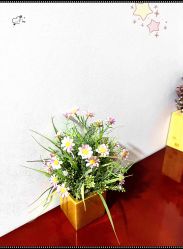 -太原丽都医疗美容医院