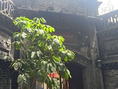 -院8里·少城记忆老川菜(宽窄巷子店)