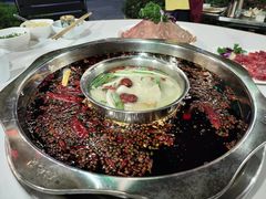 三鲜鸳鸯汤锅-枇杷园食为鲜火锅(南山店)