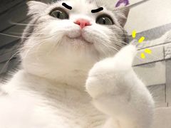 -牛学教育雅思托福PTE·小语种培训(小寨校区)