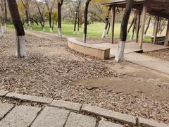 -高尔山公园
