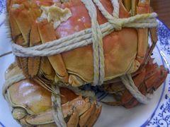 -喜洋洋蟹庄(阳澄湖店)