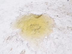 -青海茶卡盐湖文化旅游发展股份有限公司