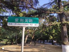 -八大关景区
