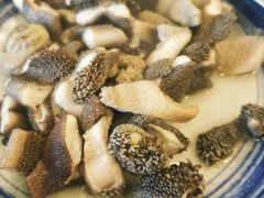 羊肚领-金生隆(六铺炕店)