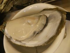 -大富蚝乌东哥饭店·石锅鱼杂·柠檬鸭(革新路店)