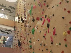 -ROCKPLUS攀岩馆(环宇城店)