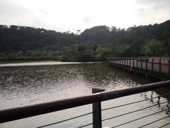 -飞凤山奥体公园