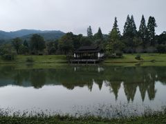 -杭州植物园