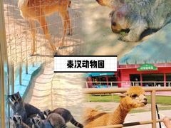 -白鹿原·白鹿仓