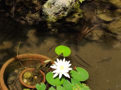 -自贡市盐业历史博物馆