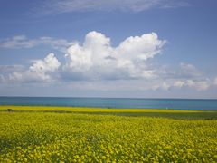 -青海湖国家重点风景名胜区