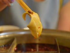 -朱氏胖子烂火锅(洪崖洞店)