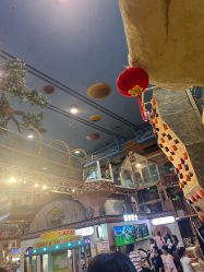 -卡通尼·Safari非洲探索乐园·生日会(金桥国际商业广场店)