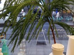 -常识咖啡common sense(春熙路店)