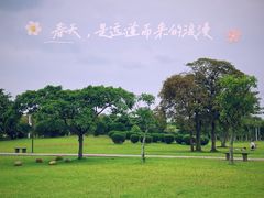 -万绿园