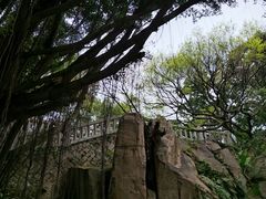 -乌山风景区
