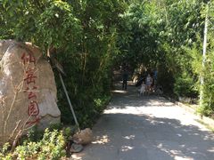 -仙岳公园