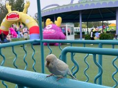 -秦皇岛乐岛海洋王国