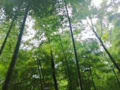 -藏龙百瀑风景区