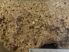 -延庆地质公园博物馆