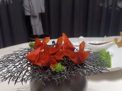 -迦南苑·新派青岛菜·生日纪念日主题餐厅